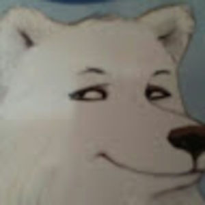 Meet your Posher, Tavyne